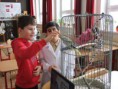/album/den-otvorenych-dveri-na-zs-marianska-25-1-2013/dod6-jpg/
