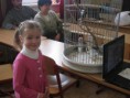 /album/den-otvorenych-dveri-foto-saska-gasparova-6-a/dod15-jpg1/